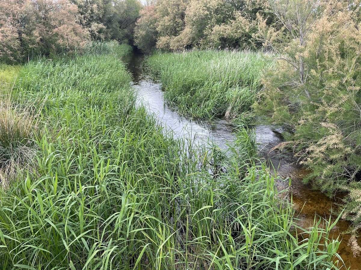 Peligra la biodiversidad y existencia de las Lagunas de Villafranca con una concesión de cuarenta litros por segundo