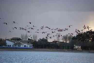 Quince años del PORN de las Lagunas de Villafranca, aún a la espera de cumplir los objetivos que se propuso