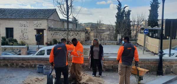 El Plan Anual de Plantaciones llega a la plaza del Conde con nuevos árboles y arbustos y un presupuesto cercano a los 18.000 euros
