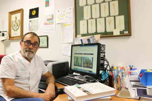 Especialistas del Hospital de Toledo colaboran de nuevo en el ‘Libro de las enfermedades alérgicas’