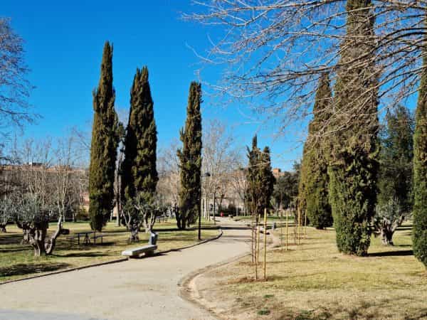 La plantación de nuevos árboles continúa esta semana en el Parque de las Tres Culturas y otros espacios y calles de la ciudad