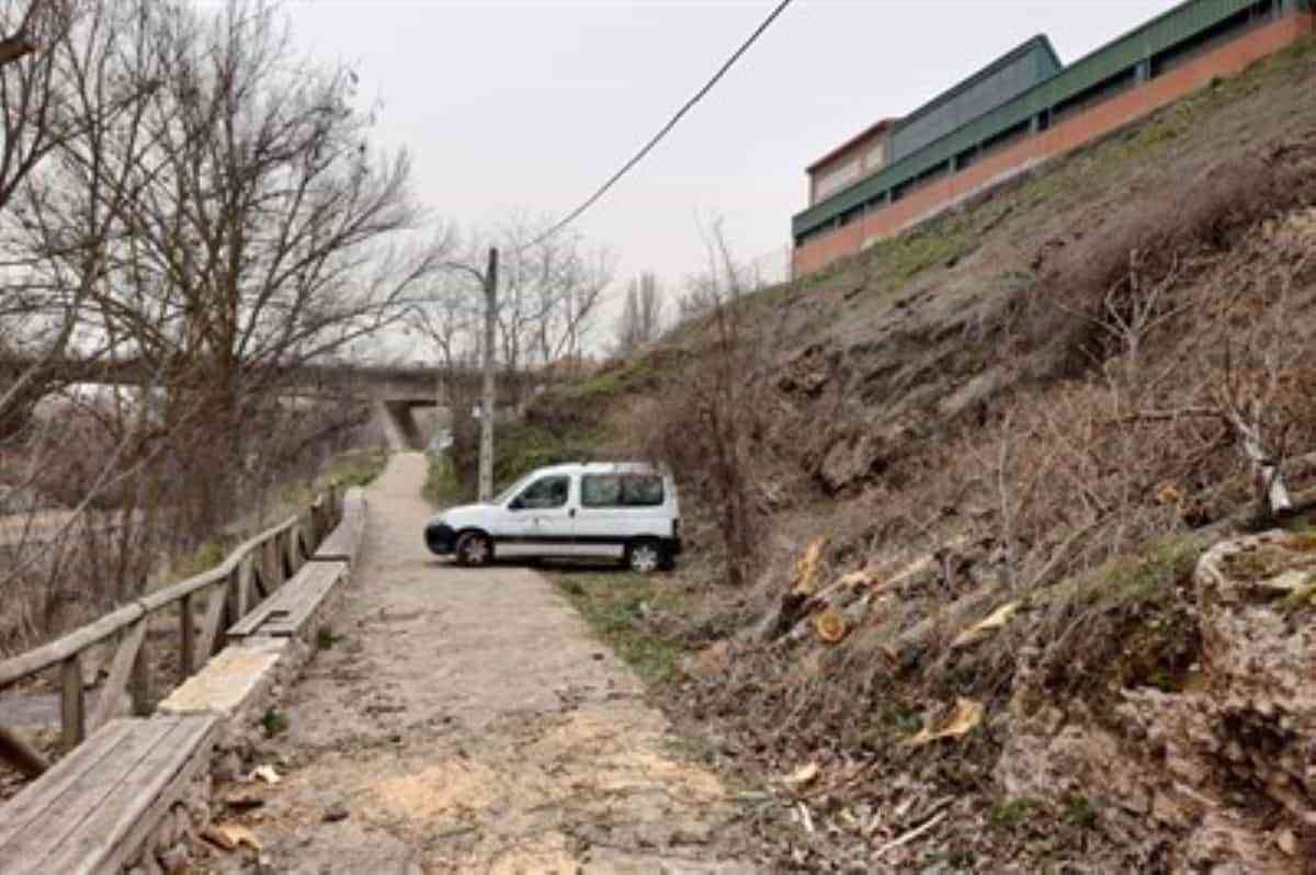 La borrasca Celia ha dejado árboles caídos, chapas y tejas y apuntalamientos tras su paso por Cuenca