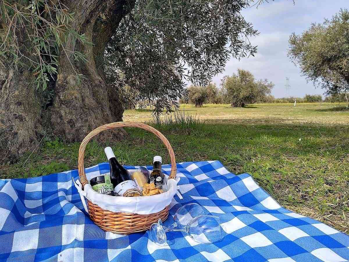 El reto del emprendimiento agrícola: Proyecto Los Aires cumple 10 años