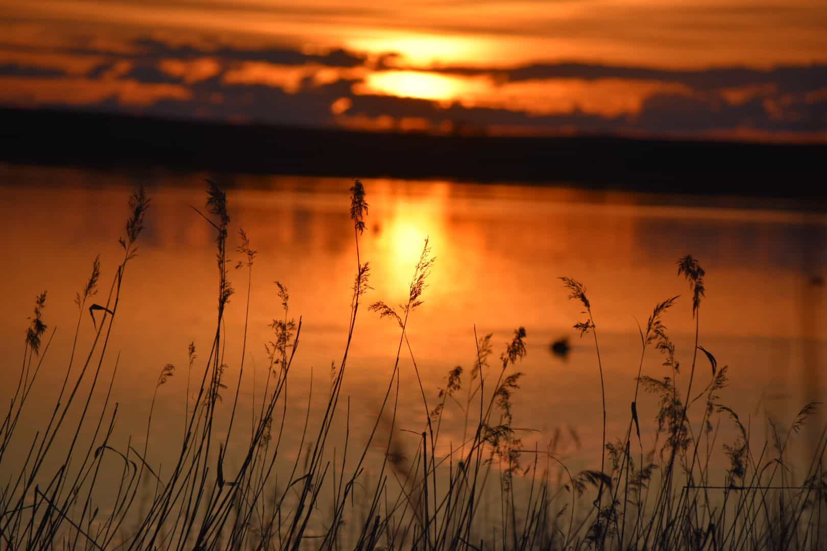 Senderismo y naturaleza, última propuesta de Lagunas Vivas para solicitar medidas urgentes en La Mancha Húmeda