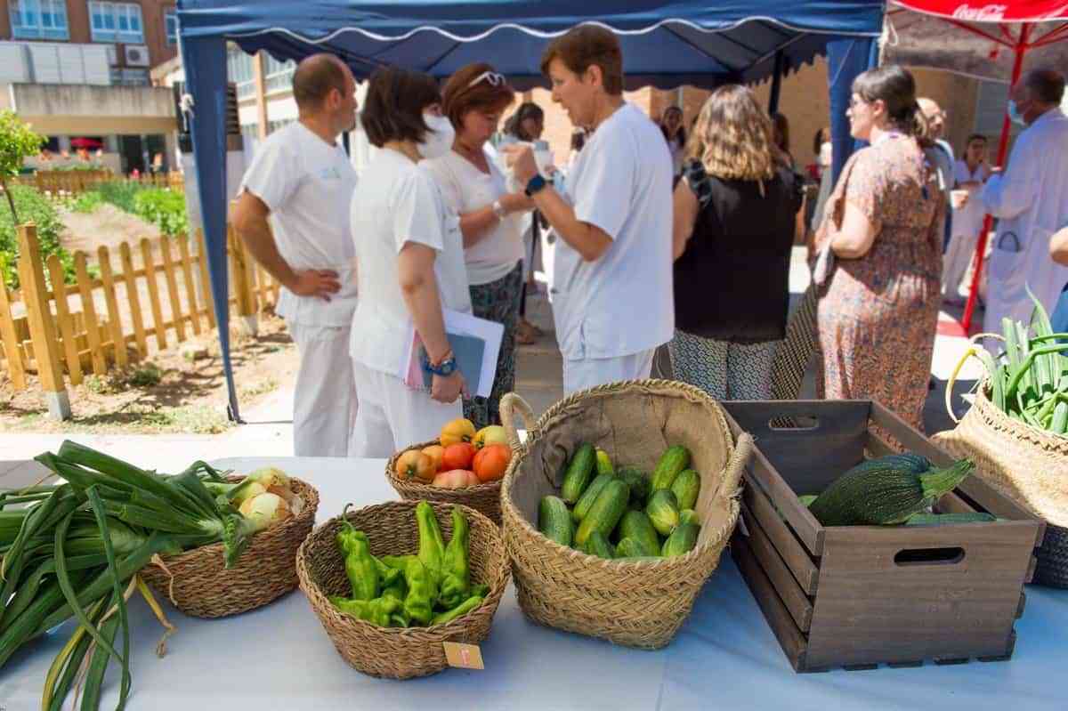 El 'Huerto del Hospi' del Hospital de Parapléjicos busca ofrecer una actividad de ocio a pacientes y familiares