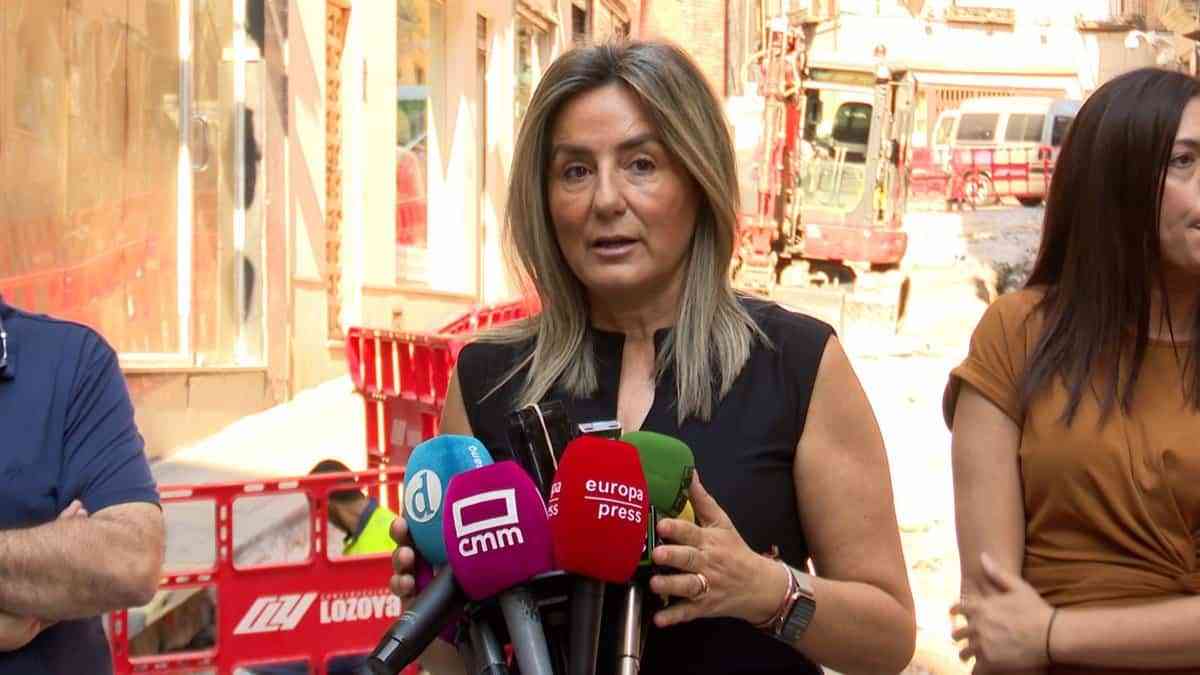 Tolón se compromete a garantizar la seguridad de las ocas y patos de la rotonda de río Boladiez en su traslado