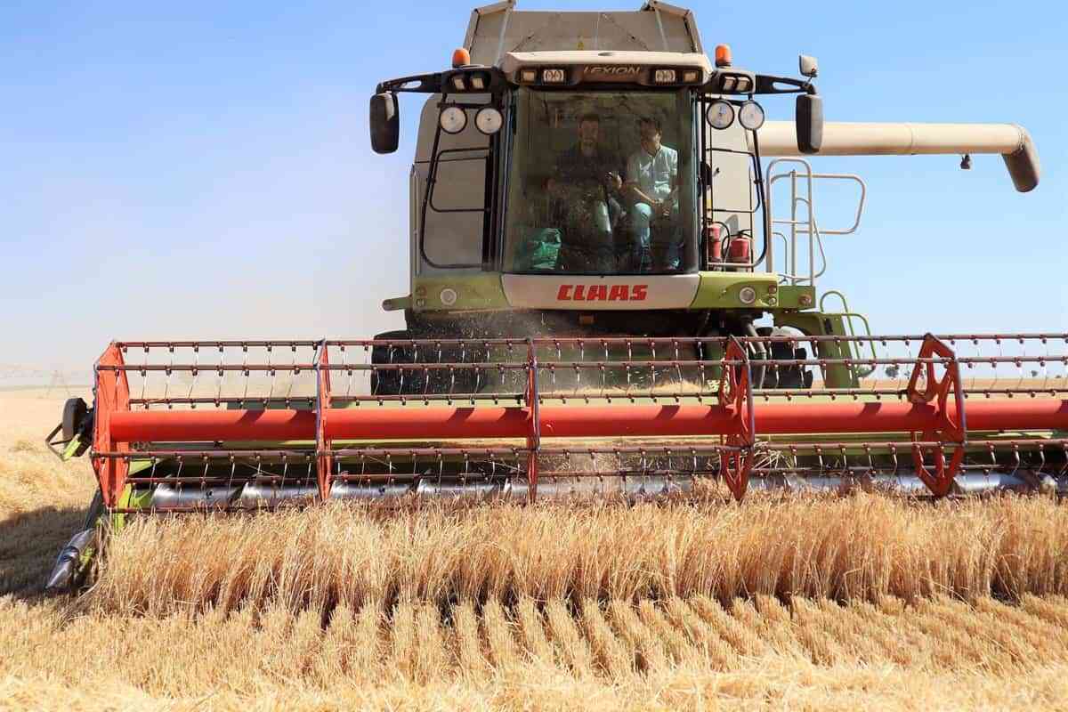 El Consejo de Gobierno dará luz verde el martes a 2,6 millones en ayudas para la creación y ampliación de cooperativas