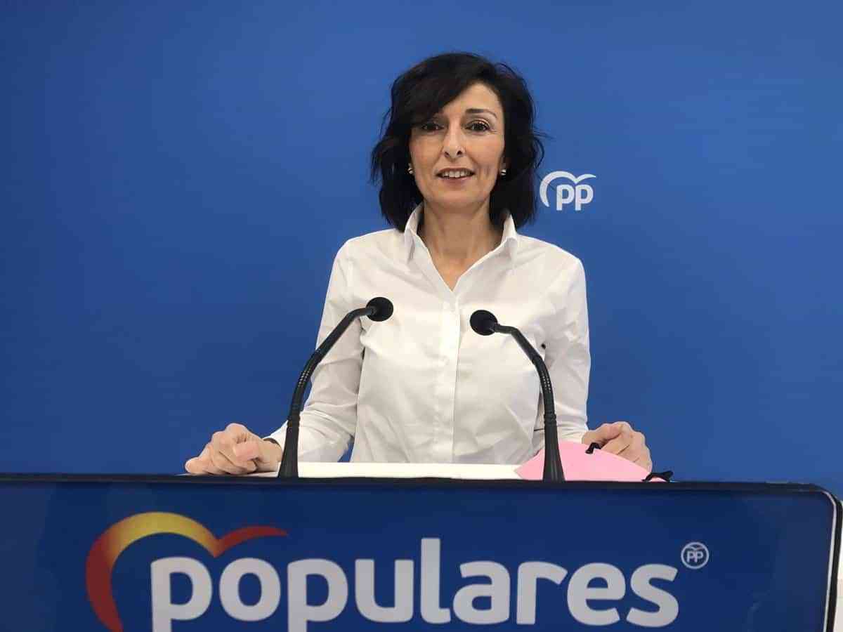 El PP reclama celebrar Consejo Social de la Ciudad de Toledo para abordar asuntos como el POM o la Agenda 2030