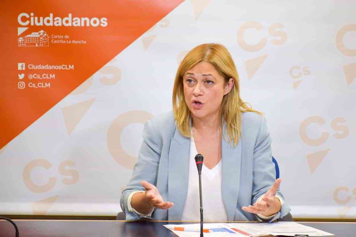 Cs propone destinar 90 millones a gratuidad de educación de 0 a 3 años y 12 para libros en sus enmiendas a cuentas CLM
