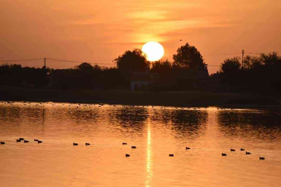 Las Lagunas de Villafranca, condenadas a desaparecer por la inacción del Gobierno de España, la Junta de Comunidades y la Confederación Hidrográfica del Guadiana