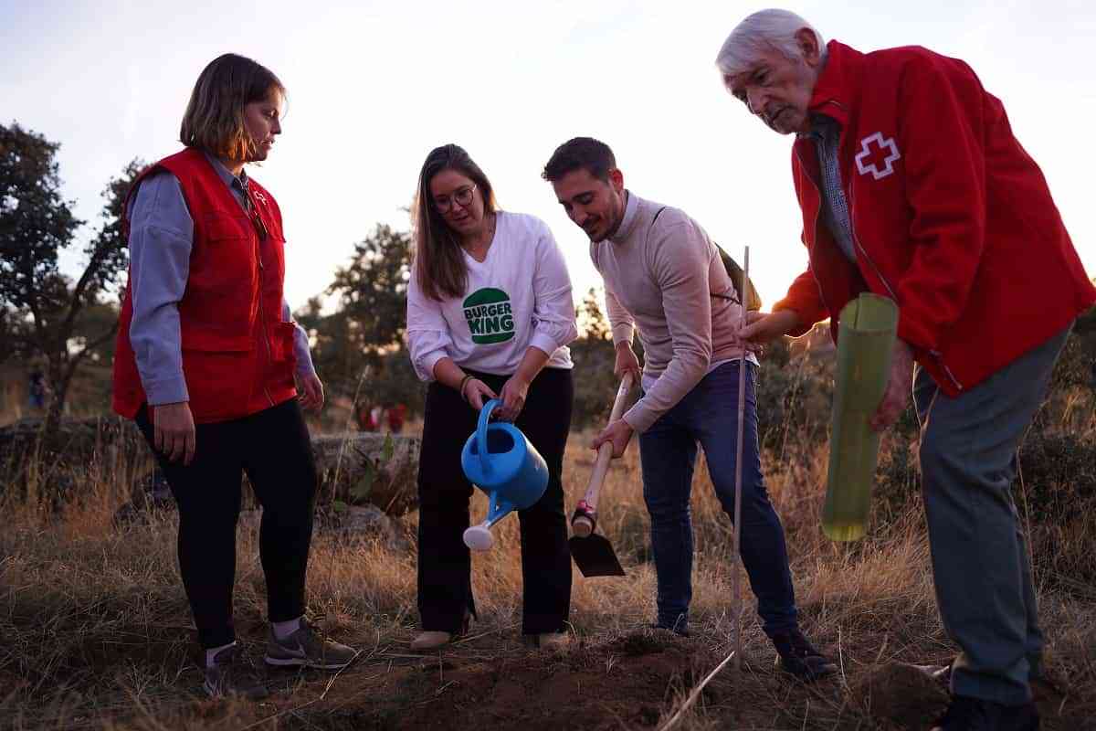 Burger King España y Cruz Roja reforestan 1,25 hectáreas de bosques en Toledo