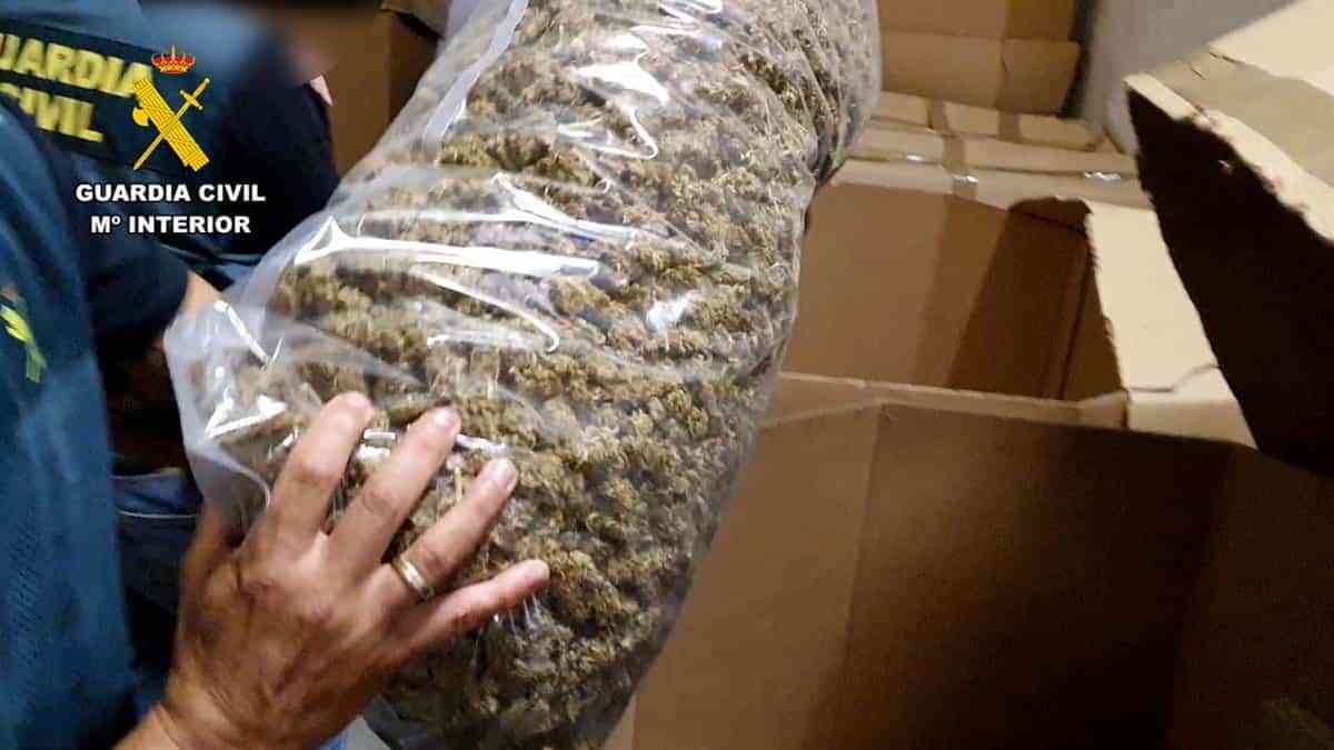 VÍDEO: La Guardia Civil incauta el mayor alijo de marihuana envasada encontrado hasta el momento