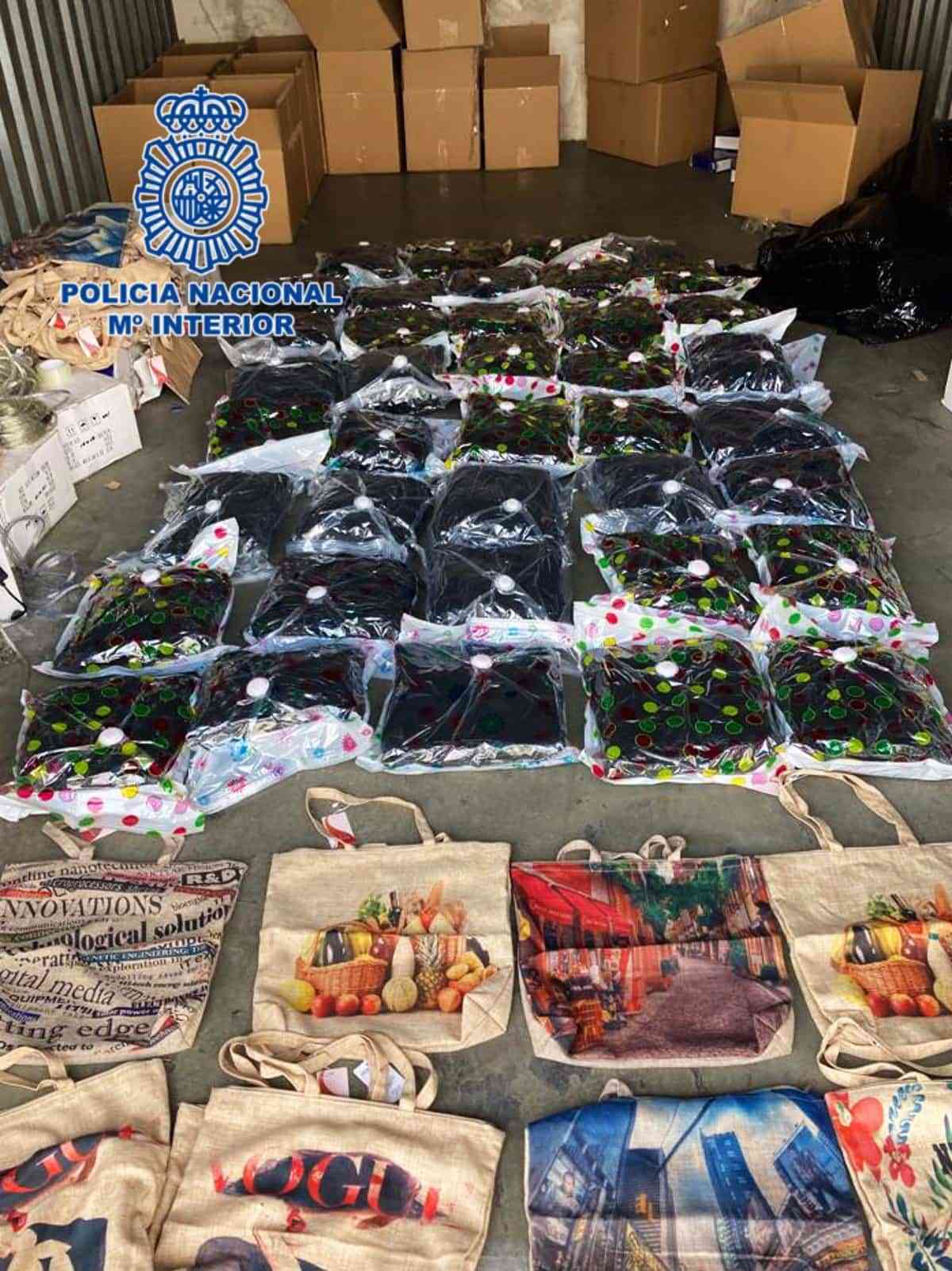 34 detenidos y 3.436 plantas incautadas en la mayor operación contra tráfico de marihuana en Toledo en 2022