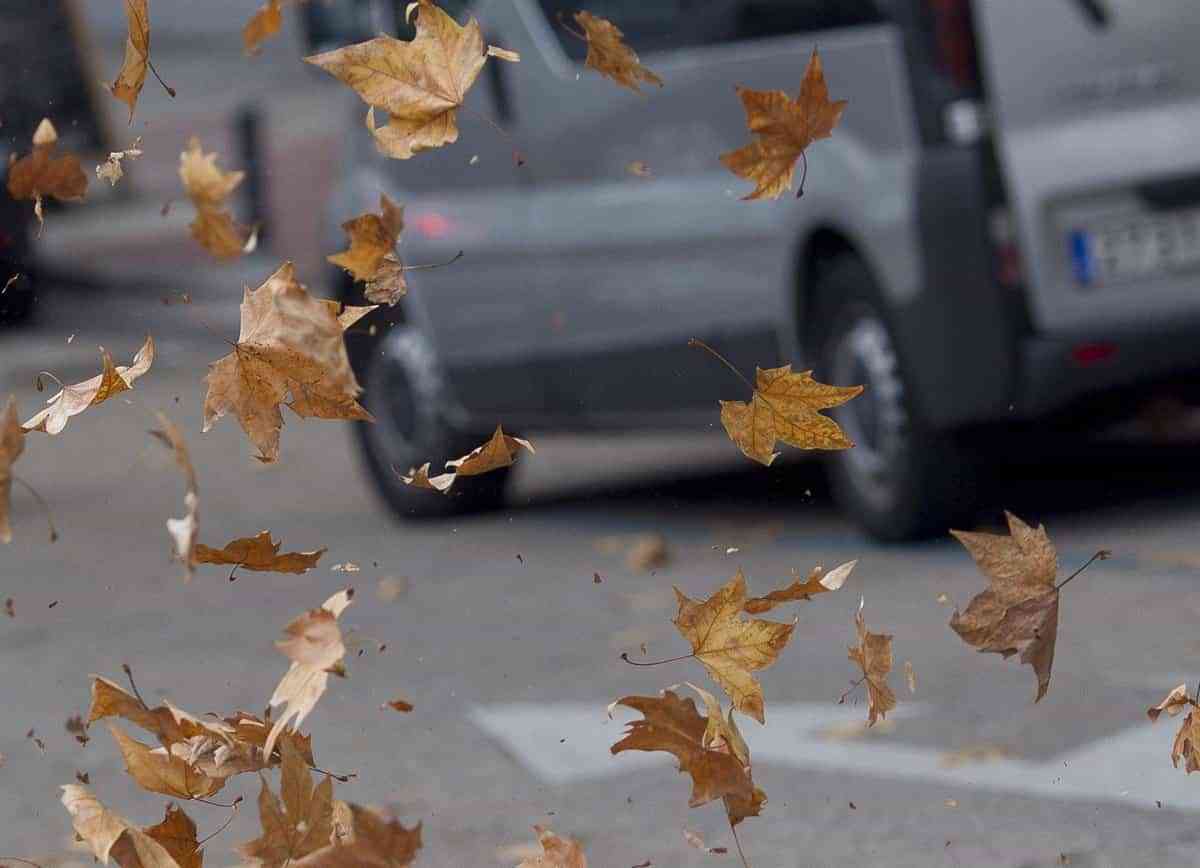 Causas del Viento en C-LM: Caída de Ramas y Movimiento de Mobiliario Urbano entre las 30 Incidencias Reportadas
