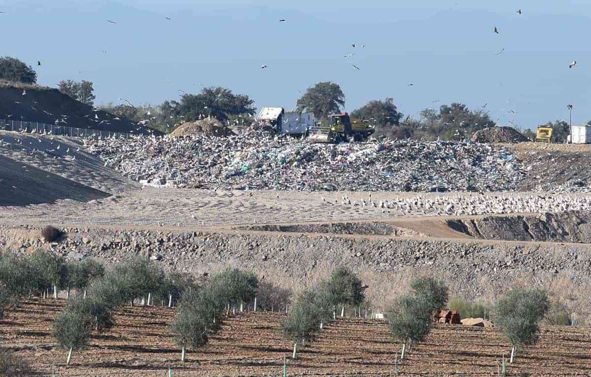 Hallazgo de Torso en Ecoparque de Toledo en Búsqueda de Ángel, el Menor de 11 Años Desaparecido en Madrid
