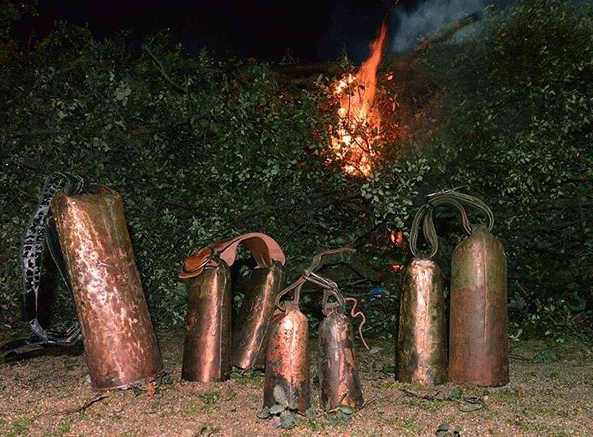 Celebración de la Fiesta de la Vaca en San Pablo de los Montes, Patrimonio Turístico Regional desde 1994