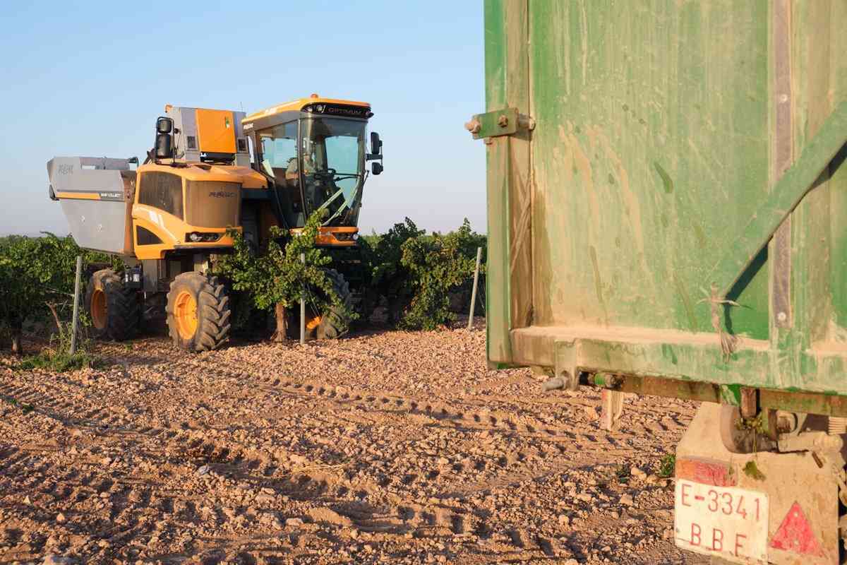 Asaja insta a la derogación de la expropiación de tierras en la Ley de Agricultura Familiar de Castilla-La Mancha