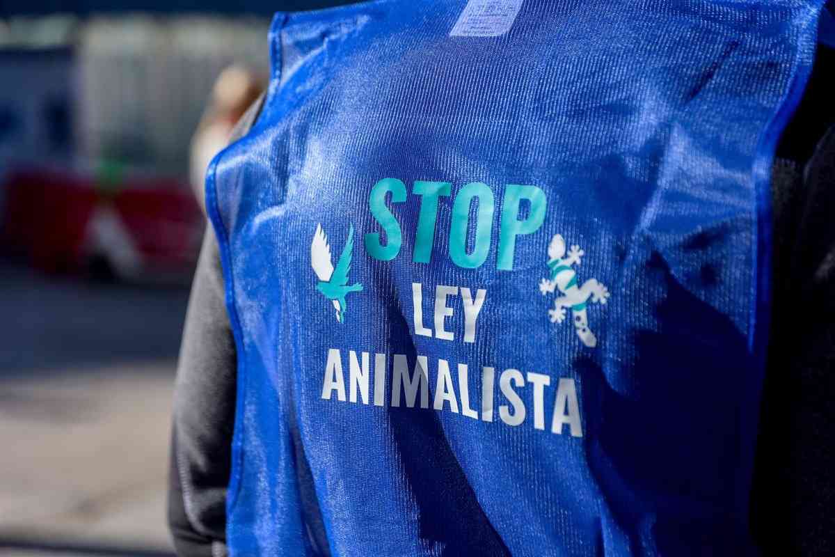 animal Miles marchan por la protección de los perros de caza en España bajo la ley de bienestar animal