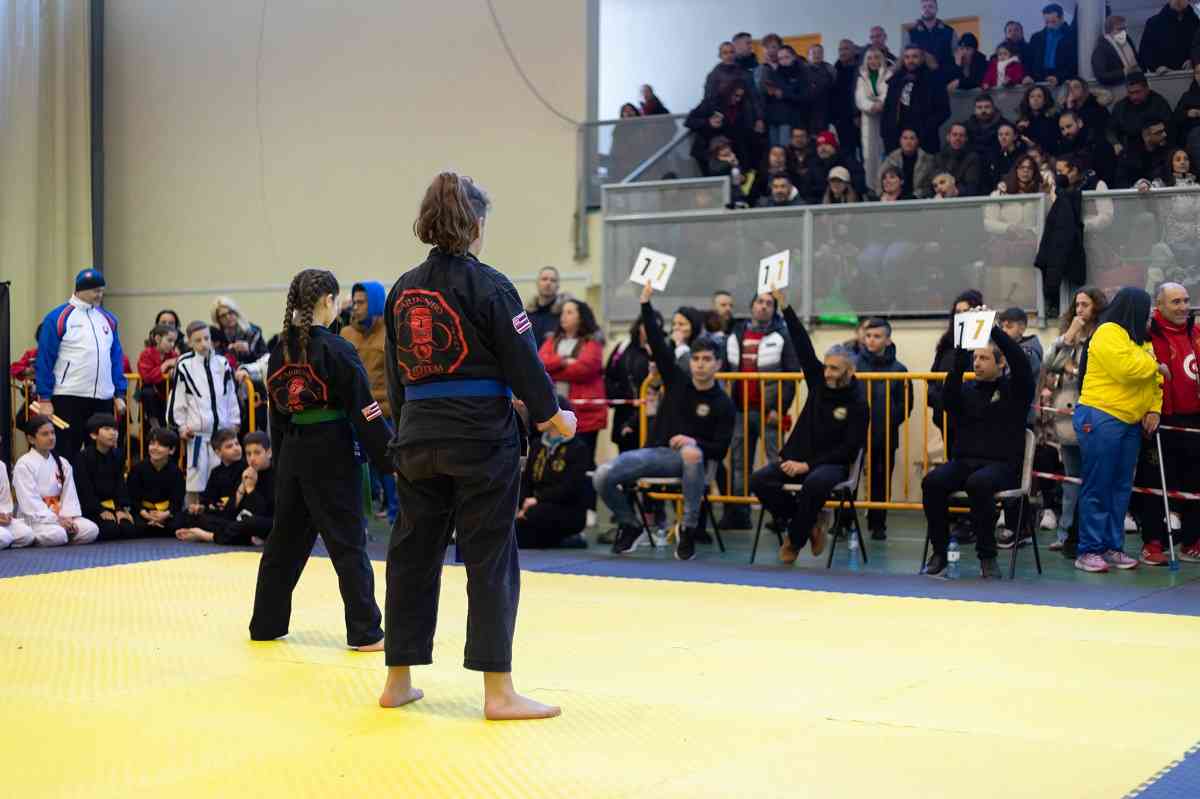 Las Artes Marciales tomaron Argés el pasado fin de semana