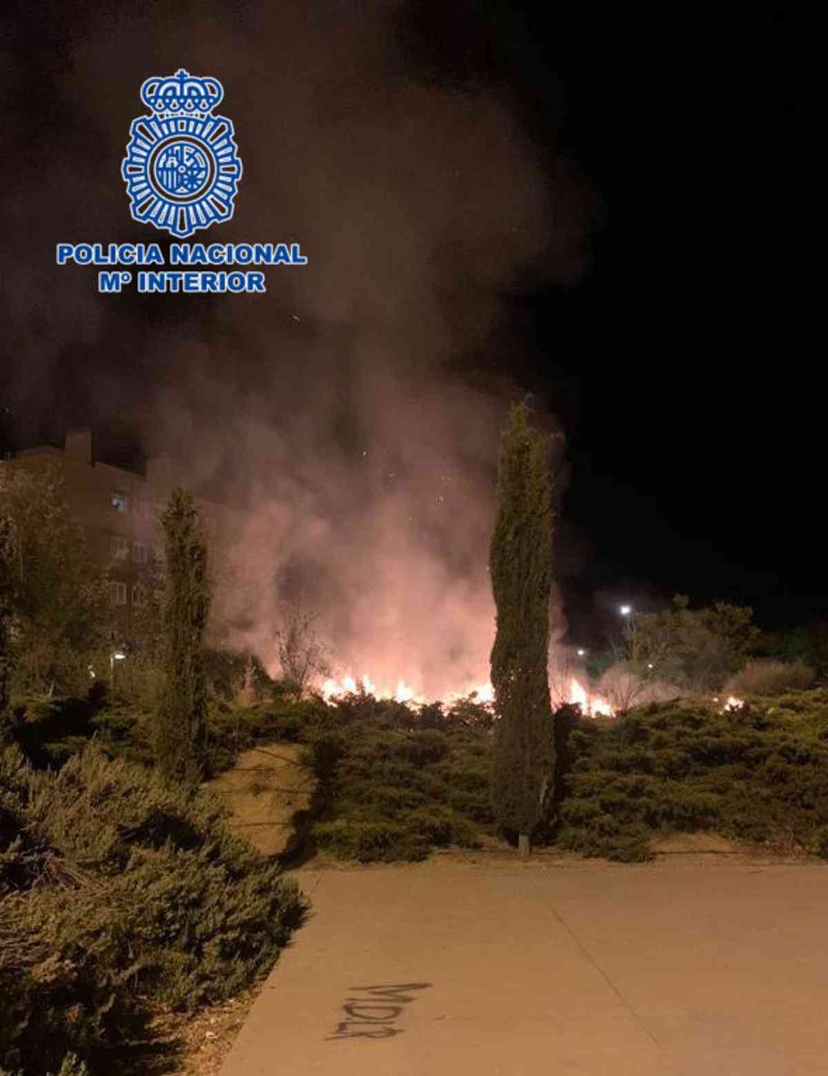 Menores de edad son capturados prendiendo fuego a árboles en el barrio Santa María de Benquerencia en Toledo.