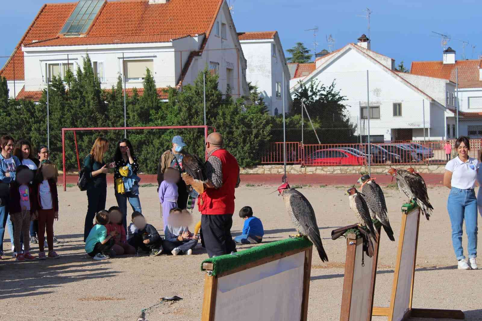 La cetrería: un arte divertido para niños