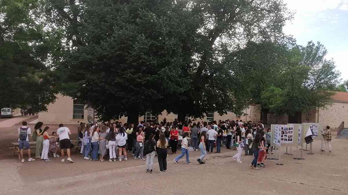 Proyecto de ciencia ciudadana busca descubrir nuevos antibióticos en Toledo, gracias a la colaboración de institutos locales.