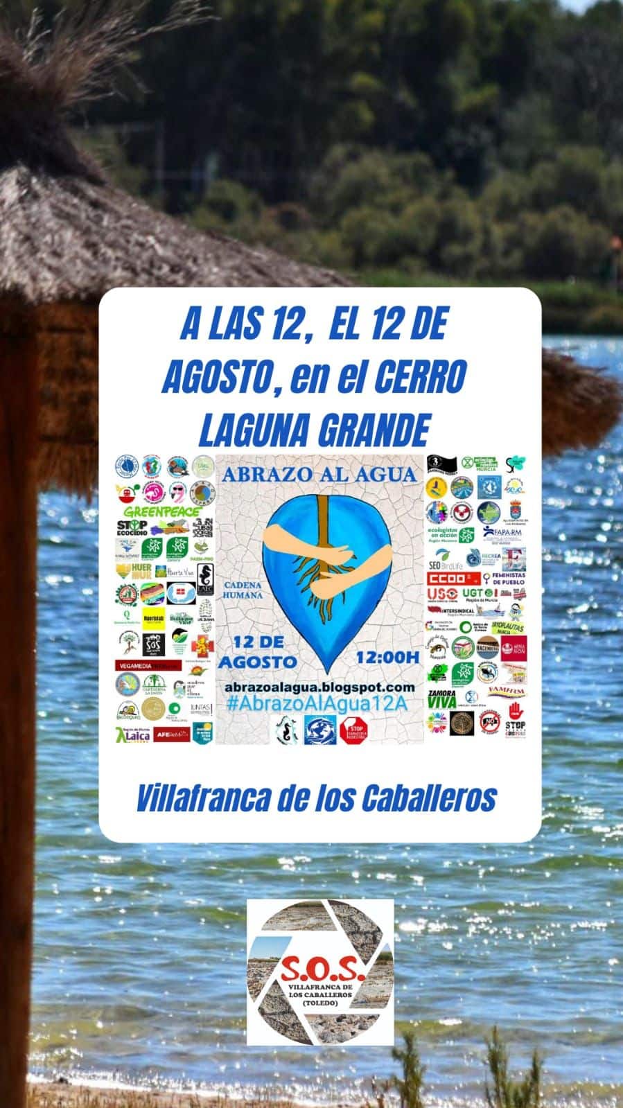 La organización Lagunas Vivas se une a la iniciativa #AbrazoAlAgua12A para mejorar la gestión de los humedales de La Mancha.