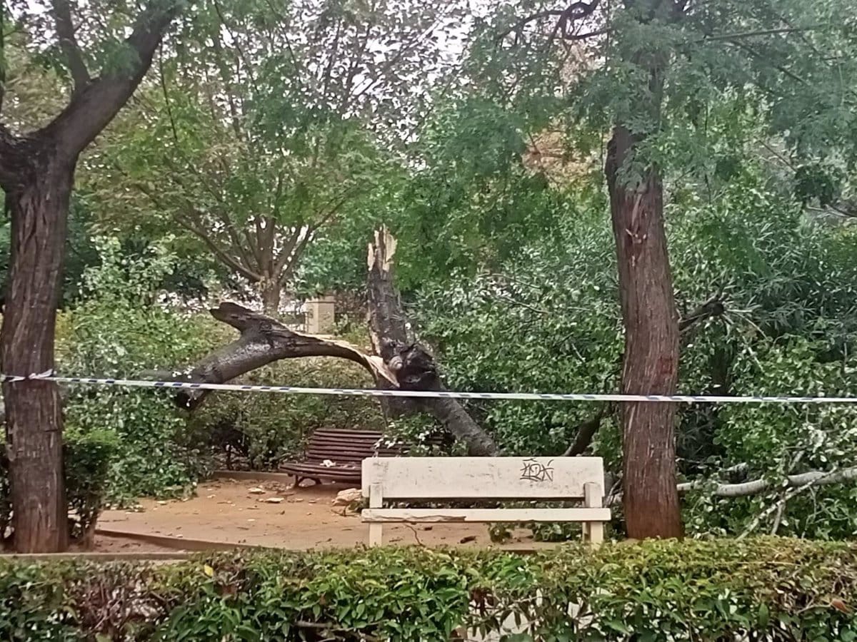 Se suspende el Plan Meteocam debido a las intensas precipitaciones y fuertes ráfagas de viento en Castilla-La Mancha.