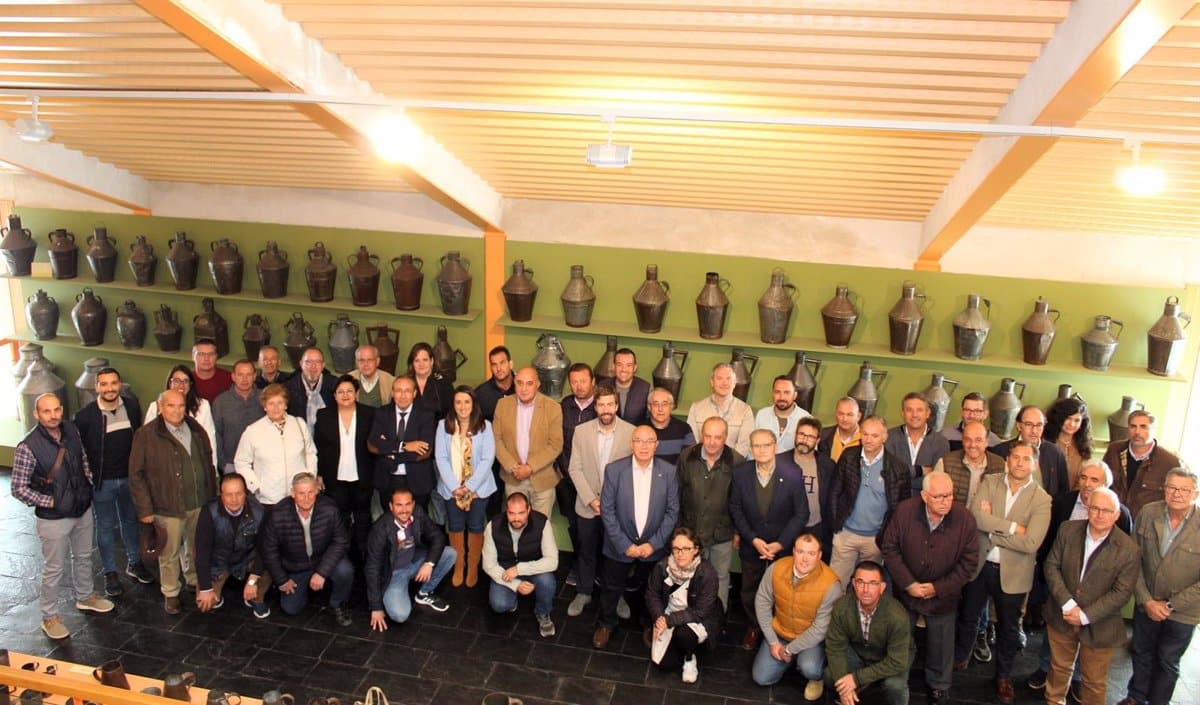 Cooperativas Agro-alimentarias informa que la producción de aceite de oliva en Castilla-La Mancha sufrirá una reducción del 35% en esta temporada.