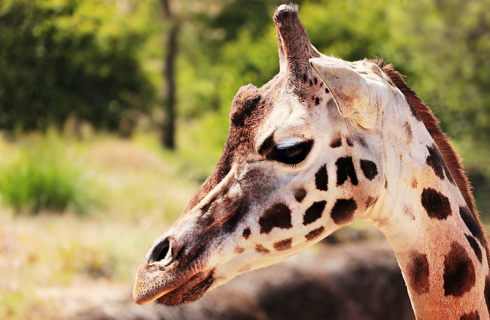 Castilla-La Mancha busca fondos para implementar medidas propuestas por la nueva administración Castilla-La Mancha busca financiamiento para llevar a cabo las medidas propuestas por el nuevo Gobierno