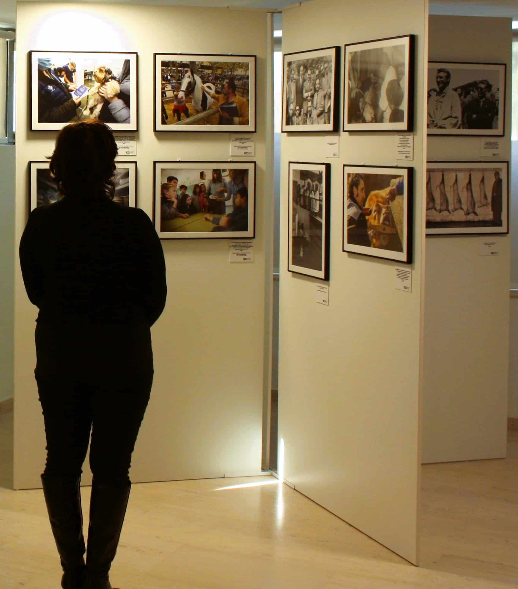 La evolución de la profesión veterinaria durante el último siglo