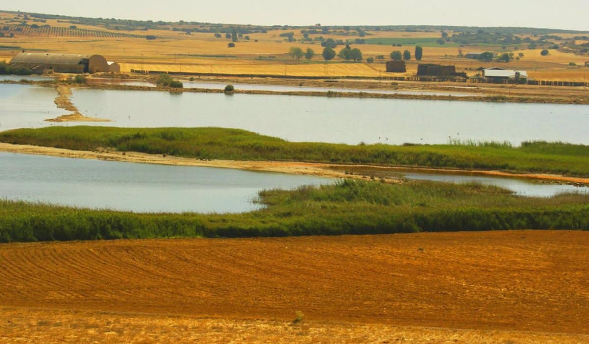 Castilla-La Mancha celebra el Día Mundial de los Humedales con diversas actividades en sus zonas protegidas