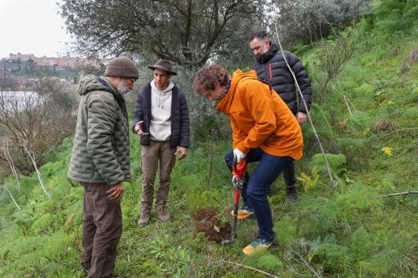 Logramos un gran avance en la reforestación del Parque de Polvorines