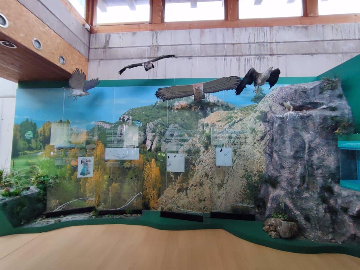 El Centro de Interpretación del Tajo en Zaorejas triplica su número de visitantes alcanzando los 3021 visitantes