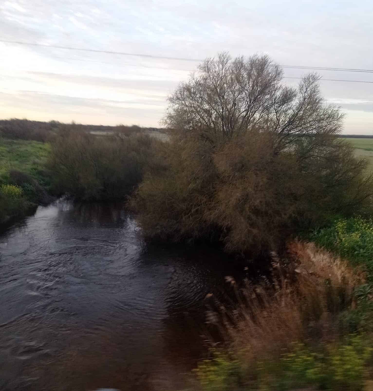 Las últimas lluvias hacen que el río Cigüela vuelva a fluir con agua