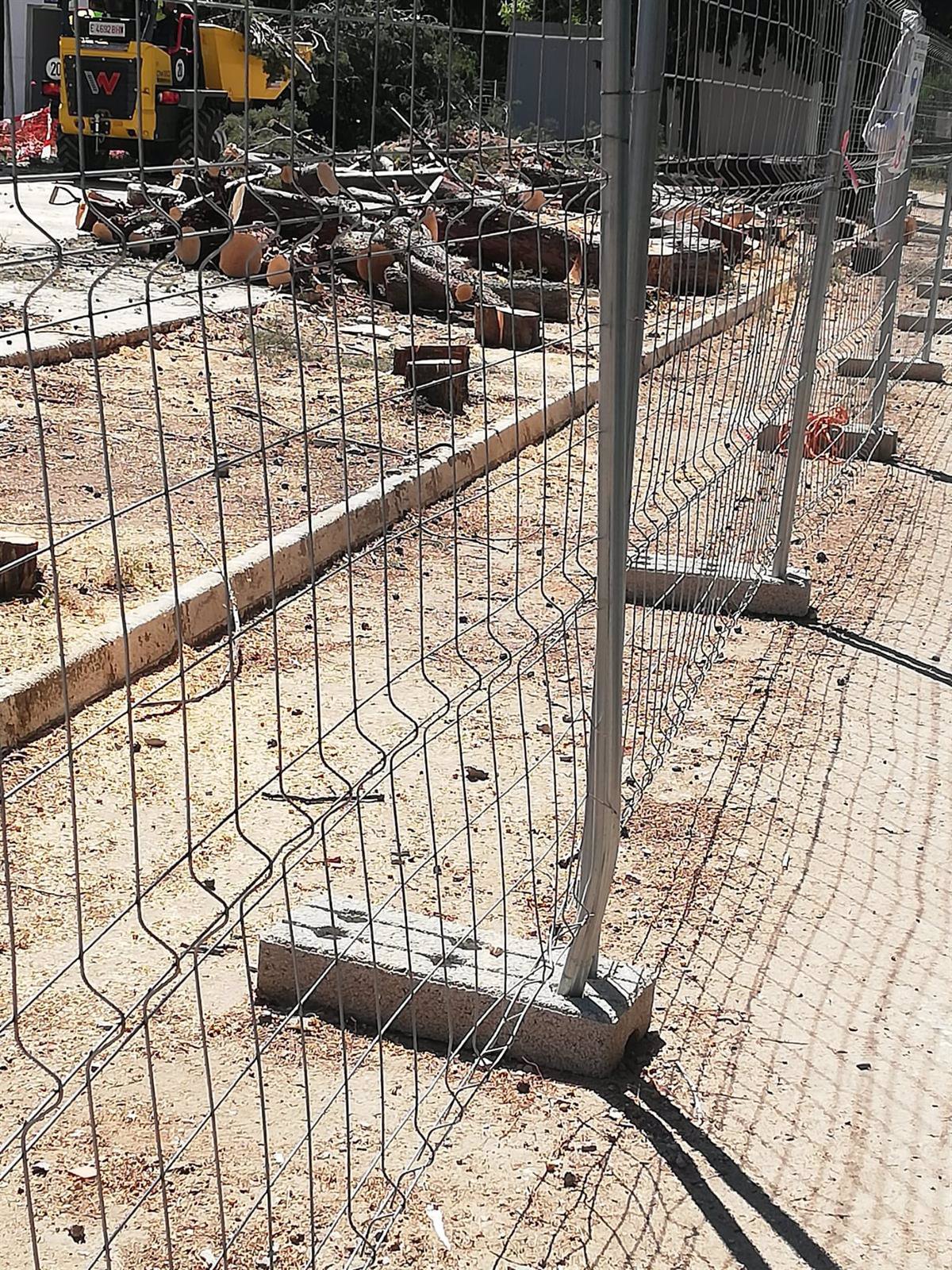 El PSOE de Toledo muestra su enfado por la tala sin aviso del Alcalde en la Escuela de Gimnasia