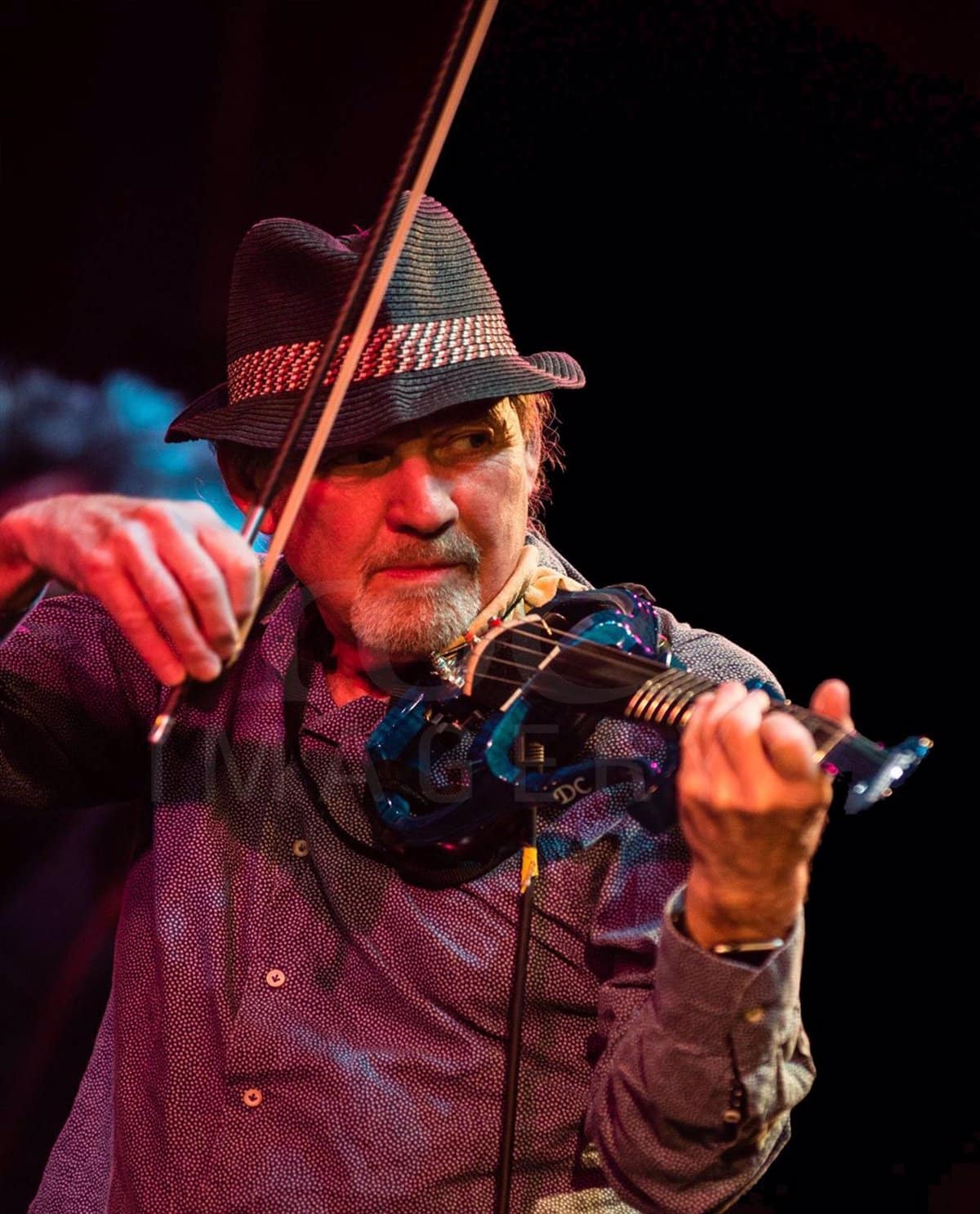 Bill Bruford y David Cross encabezan el Tercer Festival de Música Moonjune en Guadamur: ¡No te lo pierdas del 19 al 22 de Septiembre!