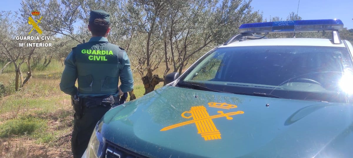 Arrestan a hombre de 60 años por tráfico de drogas en Los Navalmorales, Toledo