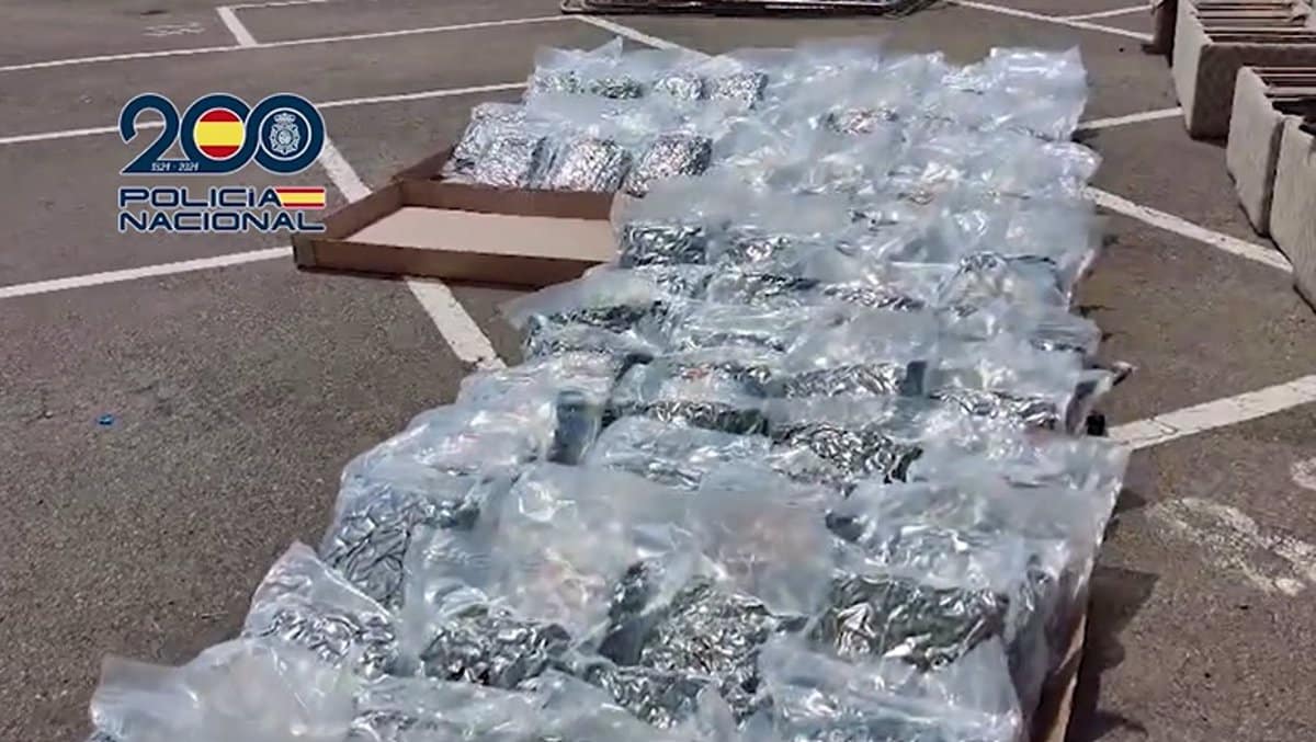 Desmantelada en Madrid una red de tráfico de marihuana que utilizaba empresas de paquetería internacional