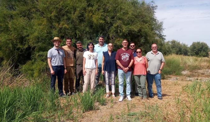 Progreso en la restauración del filtro verde de Villacañas gracias a la inversión del Gobierno de Castilla-La Mancha.