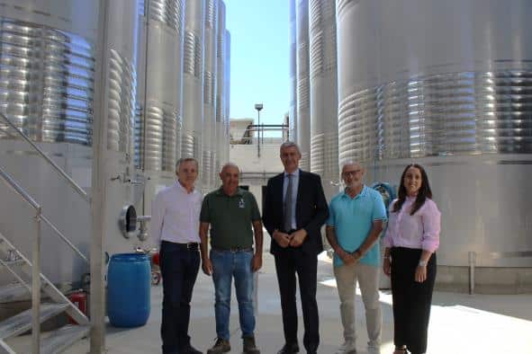 El gobierno regional promueve el sector vitivinícola en Toledo con más de 8 millones de euros en ayudas «Vinati»