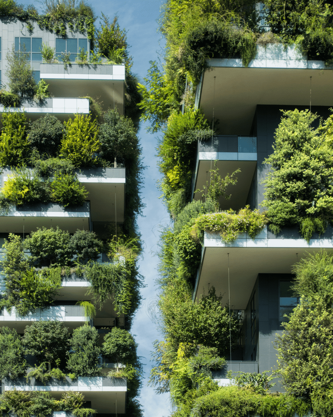 El Auge de la Construcción Ecológica: Un Paso Hacia el Futuro Sostenible