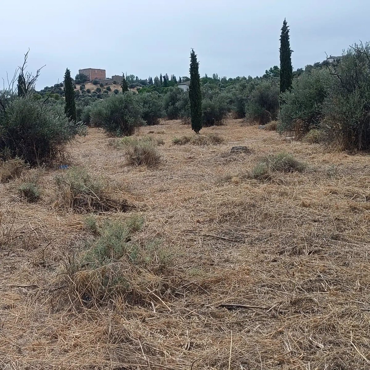 Los residentes de la Cava se muestran en contra de la Ciudad del Cine y exigen la recuperación del parque público prometido por Velázquez.