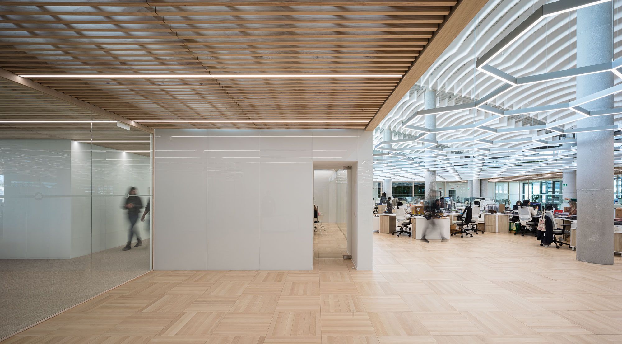 Expansión de Oficinas: Polygroup colabora con Mayoral en su Crecimiento Empresarial