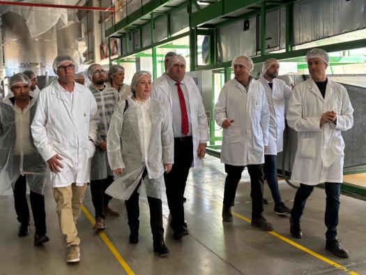 Presentación del Plan Estratégico para el Cultivo de Pistacho en Castilla-La Mancha