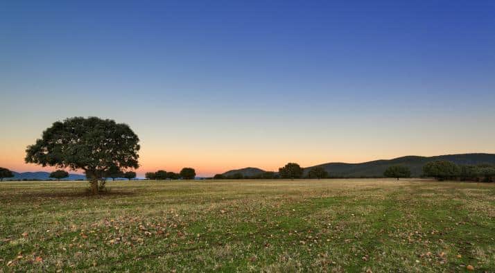Subvenciones superiores a 310.000 euros para municipios en las zonas de influencia de Cabañeros y Las Tablas de Daimiel.