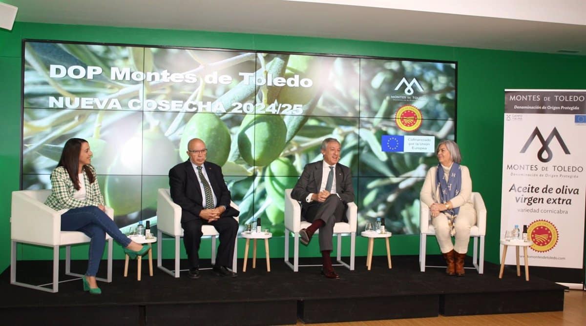DO Montes Toledo Lanza su AOVE 2024: Una Calidad Excepcional que Marca un Nuevo Estándar en la Cosecha
