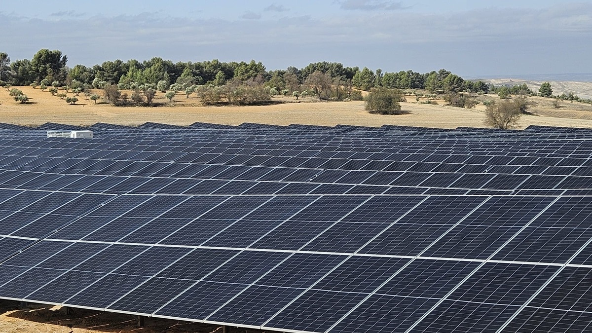 Incarlopsa duplica su capacidad fotovoltaica en 2024