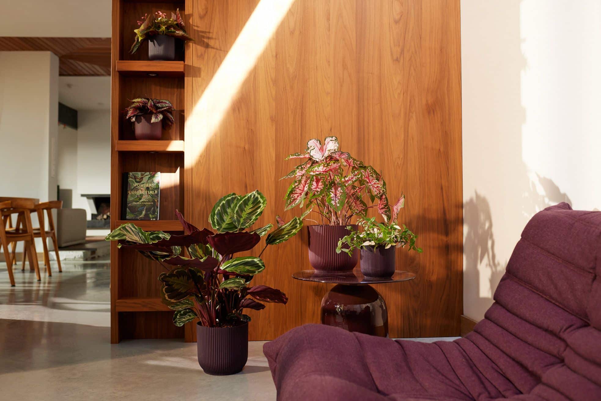 Elho Revela sus Innovadoras Colecciones de Macetas para Interior