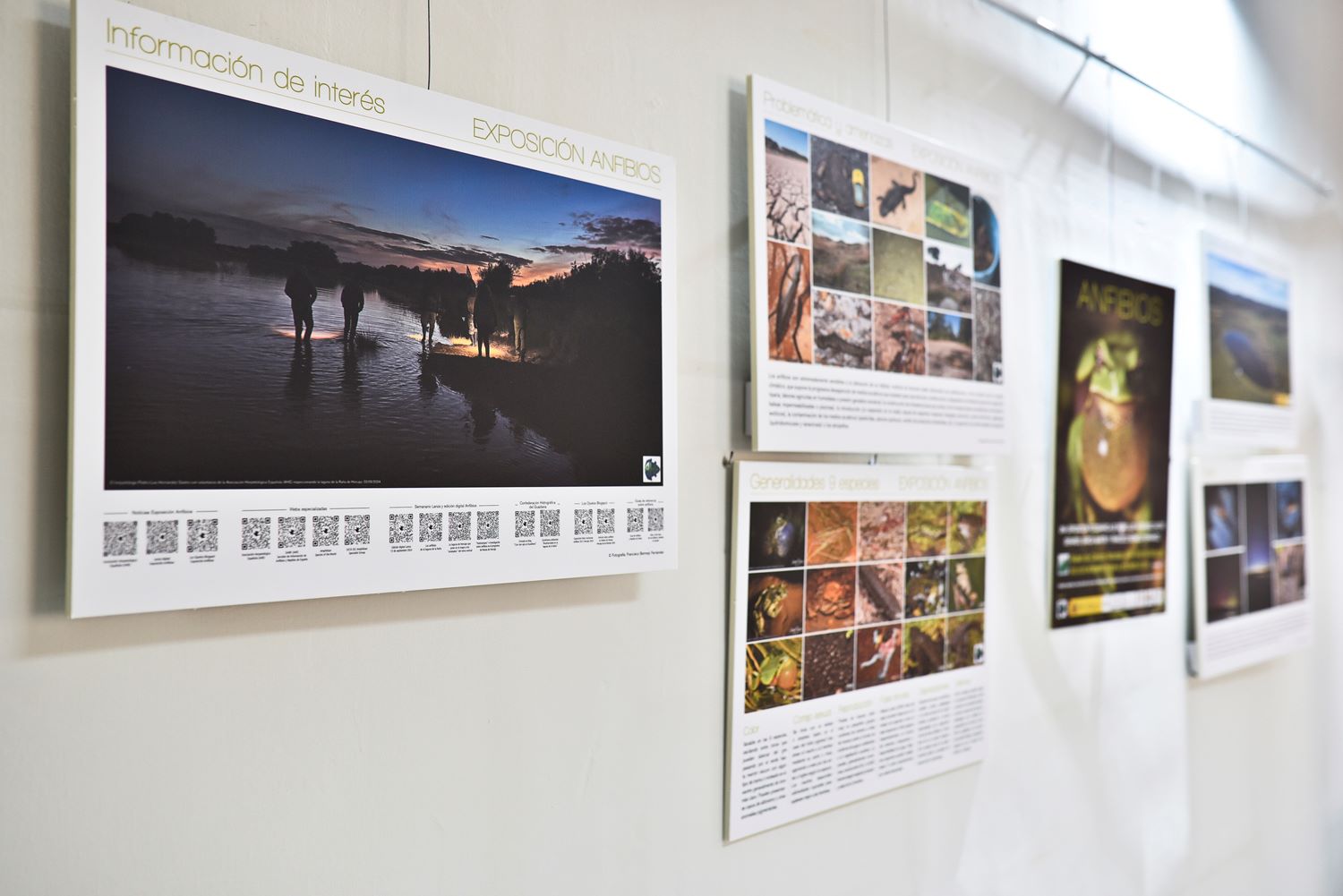 La exposición Anfibios se mostrará en la Biblioteca de Castilla-La Mancha a partir del 10 de enero